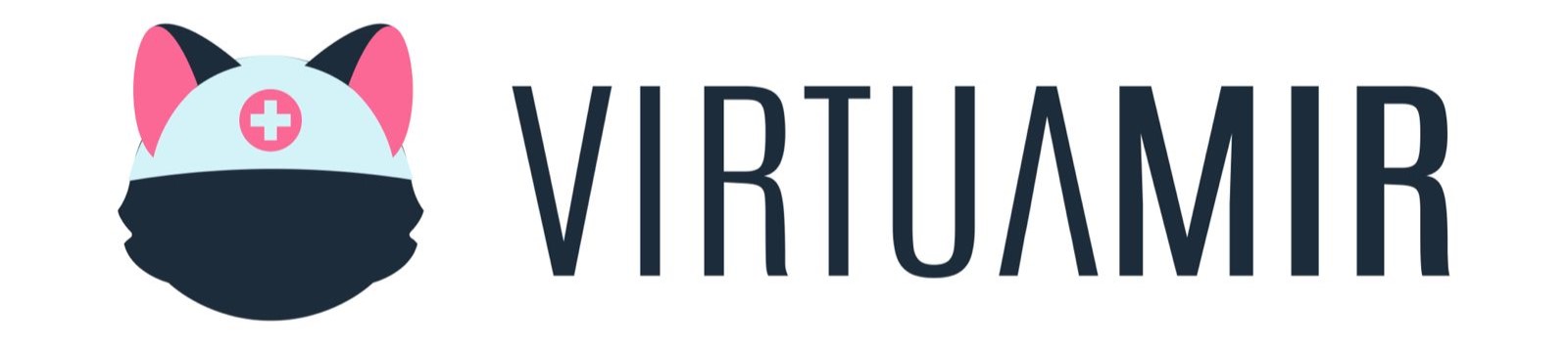 VirtuaMIR